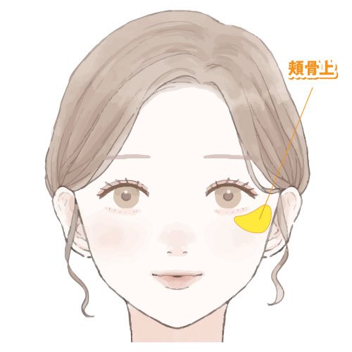 頬骨上の脂肪の位置イラスト