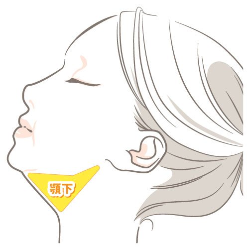 顎下の脂肪吸引の施術部位イラスト